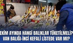Ekim Ayında Hangi Balıklar Tüketilmeli? Van Balığı-İnci Kefali Listede Var mı?