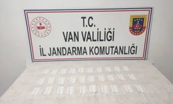 Van Jandarmadan Kaçakçılık Operasyonu