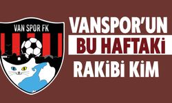 Vanspor bu hafta Adana Demirspor ile karşılaşacak!