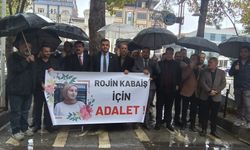 Van’daki STK’lardan Rojin Kabaiş İçin Ortak Açıklama: “Adalet İstiyoruz!”