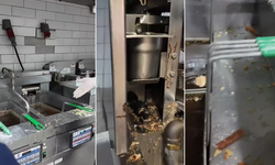 Başakşehir Zabıta Ekipleri Ünlü Zincirlerde Mide Bulandıran Manzaralar Tespit Etti