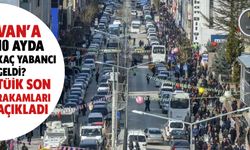 Van’a 10 Ayda Kaç Yabancı Geldi? TÜİK Son Rakamları Açıkladı