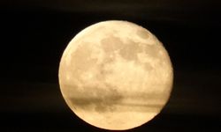 Van Semalarında Büyüleyici Manzara!