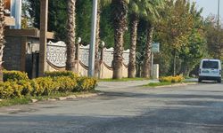 Sapanca’da Şüpheli Ölüm: Filistin Uyruklu İki Genç Hayatını Kaybetti