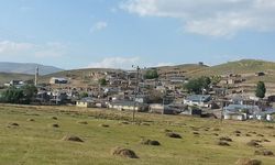 Erzurum Tekman'da Aile Kavgası: 7 Kişi Yaralandı