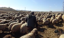Göçerlerin Zorlu Kış Yolculuğu Başladı