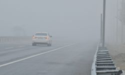 Bitlis’te Yoğun Sis Etkili Oldu: Görüş Mesafesi Sıfıra Düştü!