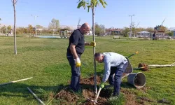 Van Tuşba’da 15 Temmuz Parkı Ağaçlandırıldı