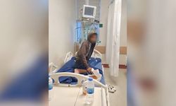 Şanlıurfa’da Kuduz Nedeniyle Hayatını Kaybeden Hasan’ın Son Görüntüleri Ortaya Çıktı!