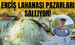 Erciş Lahanası Pazarları Sallıyor: Kilosu 150 Lira!