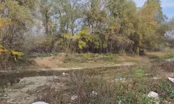 Gürcistan’da Türk Vatandaşı Ormanlık Alanda Ölü Bulundu!