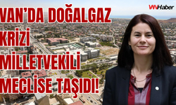 Van Milletvekili Sayyiğit: Van'da Halk Kışa Çaresiz Giriyor!