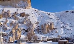 Van’ın Başkale ilçesinde kar sürprizi