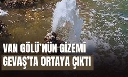 Van Gölü’nde Mikrobiyalitten Tatlı Su Fışkırıyor