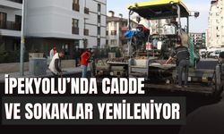 Van İpekyolu’nda Cadde ve Sokaklar Yenileniyor