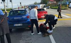 Giresun'da Trafik Kazası Sonrası Çıkan Kavgada Dövülerek Öldürüldü