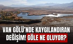 Van Gölü’nde Kritik Alarm! Halk Plajı, Yerini Devasa Bir Kuru Toprağa Bıraktı