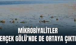 Erçek Gölü’nde, Su Çekilmesi Mikrobiyalitleri Gün Yüzüne Çıkardı
