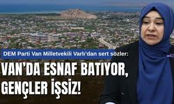 Van Milletvekili Meclis’te konuştu: Vanlı Esnaf Borç Altında Eziliyor!