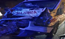 Muş’tan Van’a Hasta Taşıyan Ambulans Mandaya Çarptı