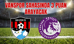 Vanspor, Evinde 3 Puan Arayacak