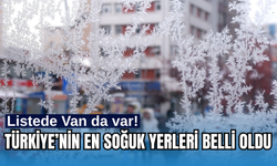 Türkiye'nin en soğuk ilçeleri belli oldu! Listede Van da var!