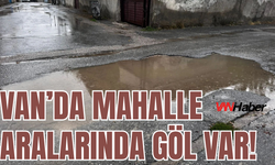 Bostaniçi Mahallesi’nde Yollar İsyan Ettirdi: “Şehir Merkezinde Köy Hayatı Yaşıyoruz”