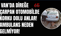 Van’da Direğe Çarpan Araçta Panik! Sürücünün Kriz Geçirdiği Ortaya Çıktı