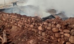 Erzurum’un Hınıs İlçesinde Ahır Yangını: 21 Büyükbaş Hayvan Telef Oldu