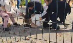 Kartal Adliyesi Önünde Yumruklu Kavga