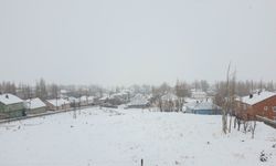 Başkale'de Kar Kalınlığı 20 Santimetreyi Aştı