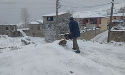 Van’da Kar Yağışı 17 Yerleşim Yeri Ulaşıma Kapandı