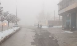 Başkale'de sis etkili oldu