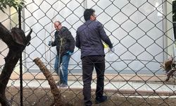 Alacak Verecek Kavgası Kanlı Bitti