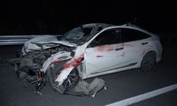 Feci Olay! Milyonluk Taylar Telef Oldu