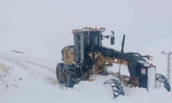 Van’da 38 mahalle ve 106 mezra yolu ulaşıma kapalı