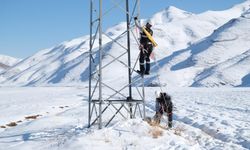 VEDAŞ Van, Muş, Hakkari ve Bitlis’te Kar Arızalarına Karşı 7/24 Görevde