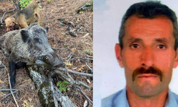 Erzincan Kemah’ta Domuz Saldırısında Yaşamını Yitirdi