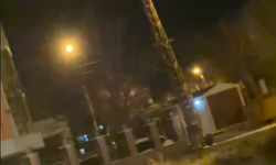 Van İpekyolu’nda Kurt Paniği! Selimbey Mahallesi’nde Görüldü