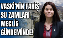 Vanlıları İsyan Ettiren Fahiş Su Faturaları Meclis Gündeminde!