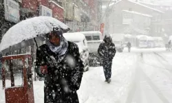 Vanlılar Dikkat! Meteoroloji Kar ve Buzlanma Uyarısı Yaptı