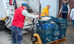 Depoda Kokmuş 25 Kasa Tavuk Ele Geçirildi