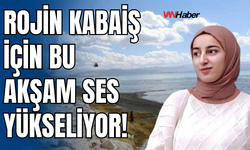 Rojin Kabaiş'in 14 Aydır Aydınlanamayan Şüpheli Ölümü İçin Kampanya Başlatıldı!