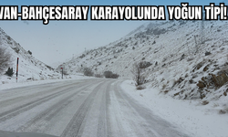 Van–Bahçesaray Karayolunda Yoğun Tipi!