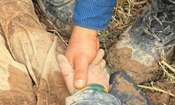 Hatay’da Dehşet! Kayıp 10 Yaşındaki Çocuk Toprağa Gömülü Halde Yaralı Bulundu!