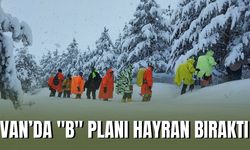 Van’da Doğaseverler Toprakkale’de Ormana Çıktı