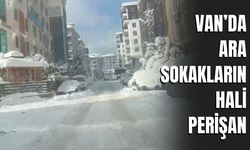 Van’da Ara Sokakların Hali Perişan