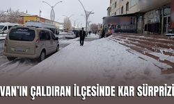 Van’ın Çaldıran İlçesinde Kar Sürprizi