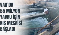 Van’da 55 Milyon Yavru İçin Kış Mesaisi Başladı