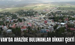 Başkale’de 60 kilo uyuşturucu ele geçirildi
